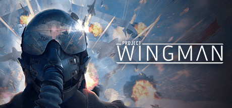 僚机计划/Project Wingman-SF游戏吧